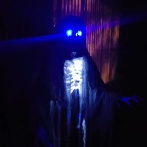 Meet your Posher, Luis